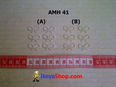 AMH 41  large2